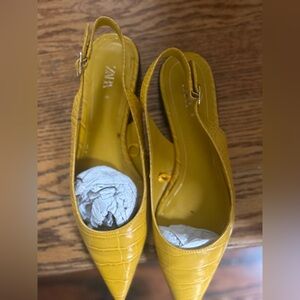 Zara Never worn pointed toe flats